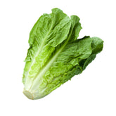 Hectarul - Seminte de salata Valmaine- 2 grame OPAL